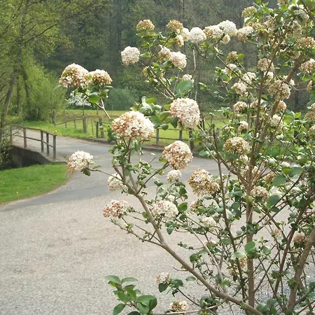 Gasthof&landhotel Ohrnbachtal Weilbach