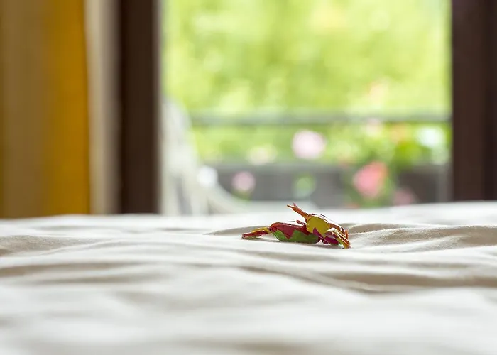 Hotel & Ohrnbachtal Weilbach