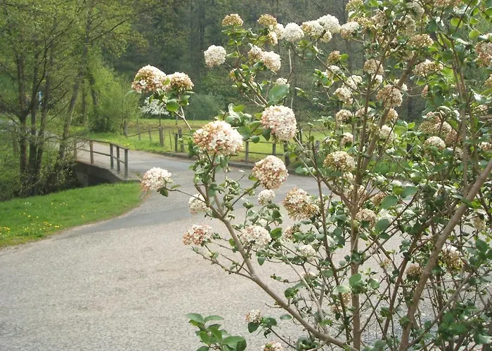 & Ohrnbachtal Weilbach