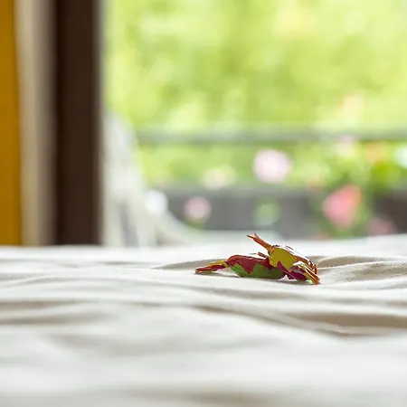 Hotel & Ohrnbachtal Weilbach
