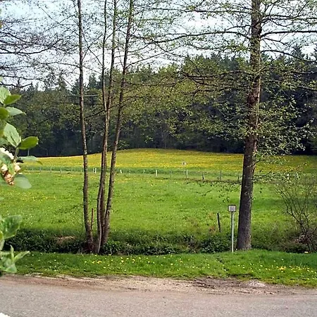 霍恩巴赫宾馆及乡村酒店 酒店 Weilbach